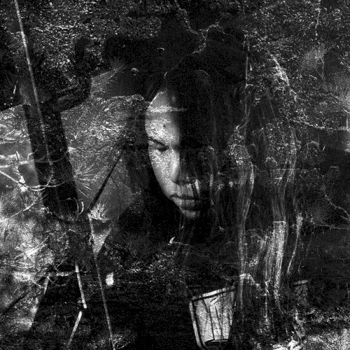 Obal alba Thisquietarmy – Langue Hybride