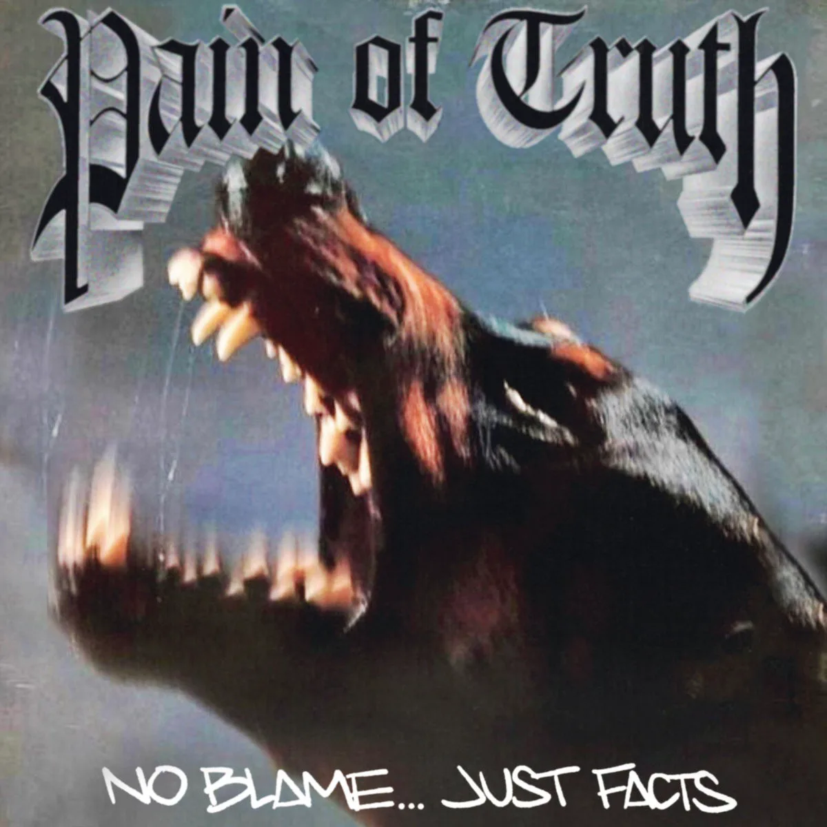 Cover of Pain of Truth – No Blame… Just Facts