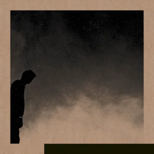 Cover of David Allred – Felt the Transition