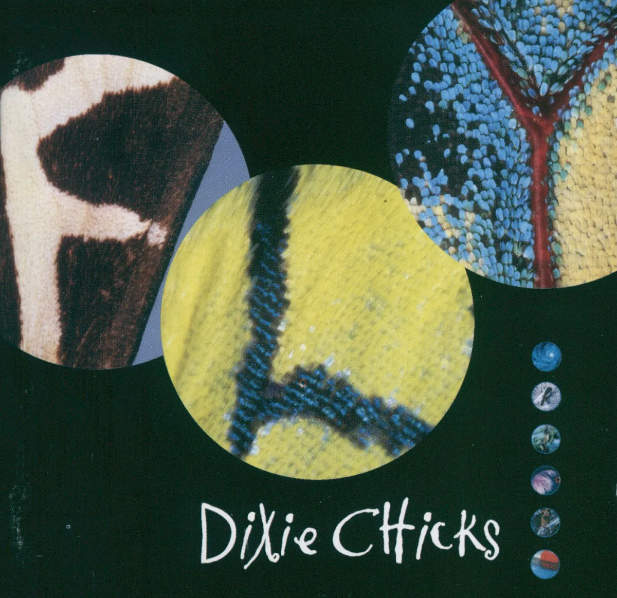 Obal albumu The Chicks – Fly