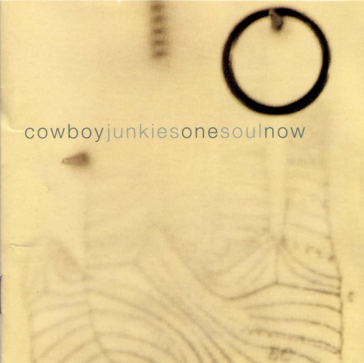 Cover of One Soul Now