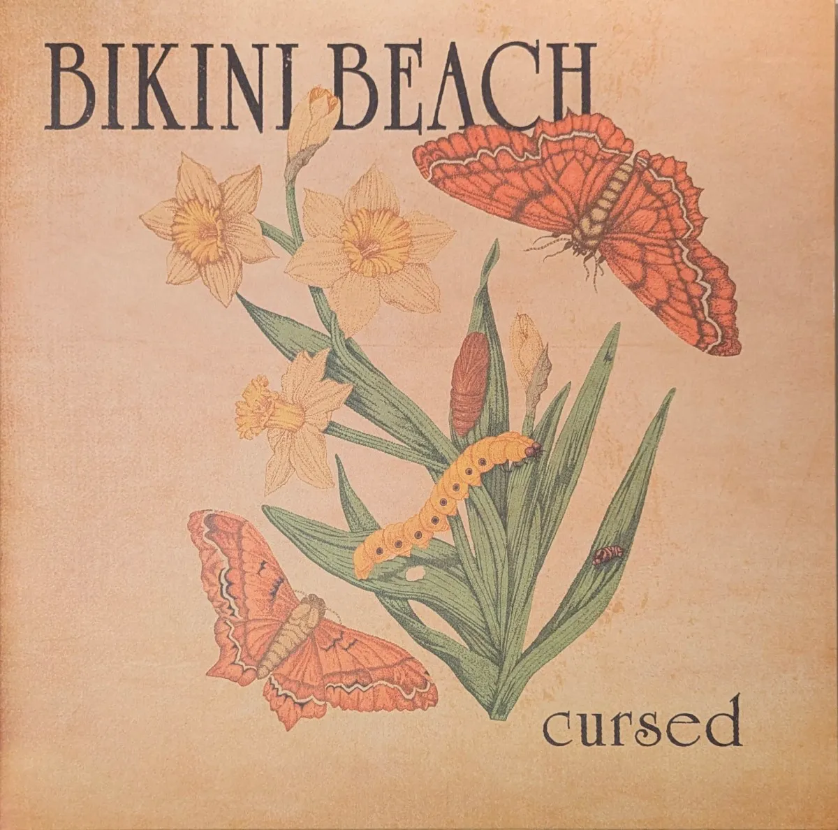 Cover of Cursed