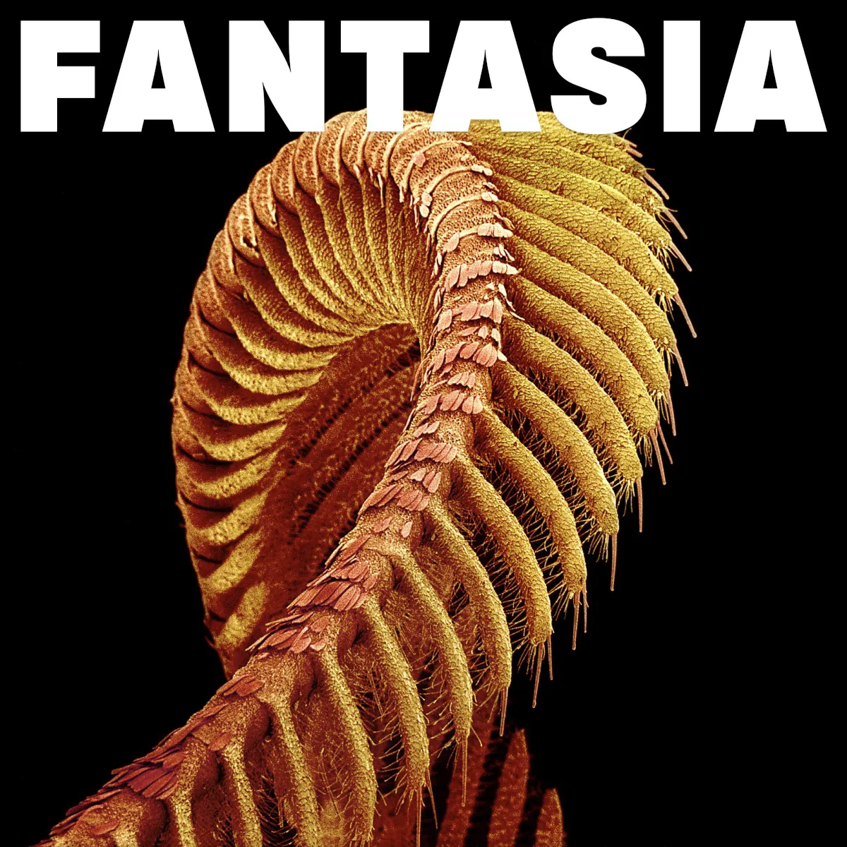 Obal alba FANTASIA