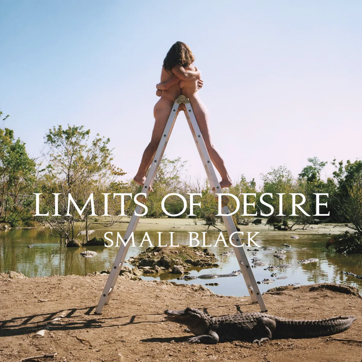 Cover of Small Black – Limits of Desire