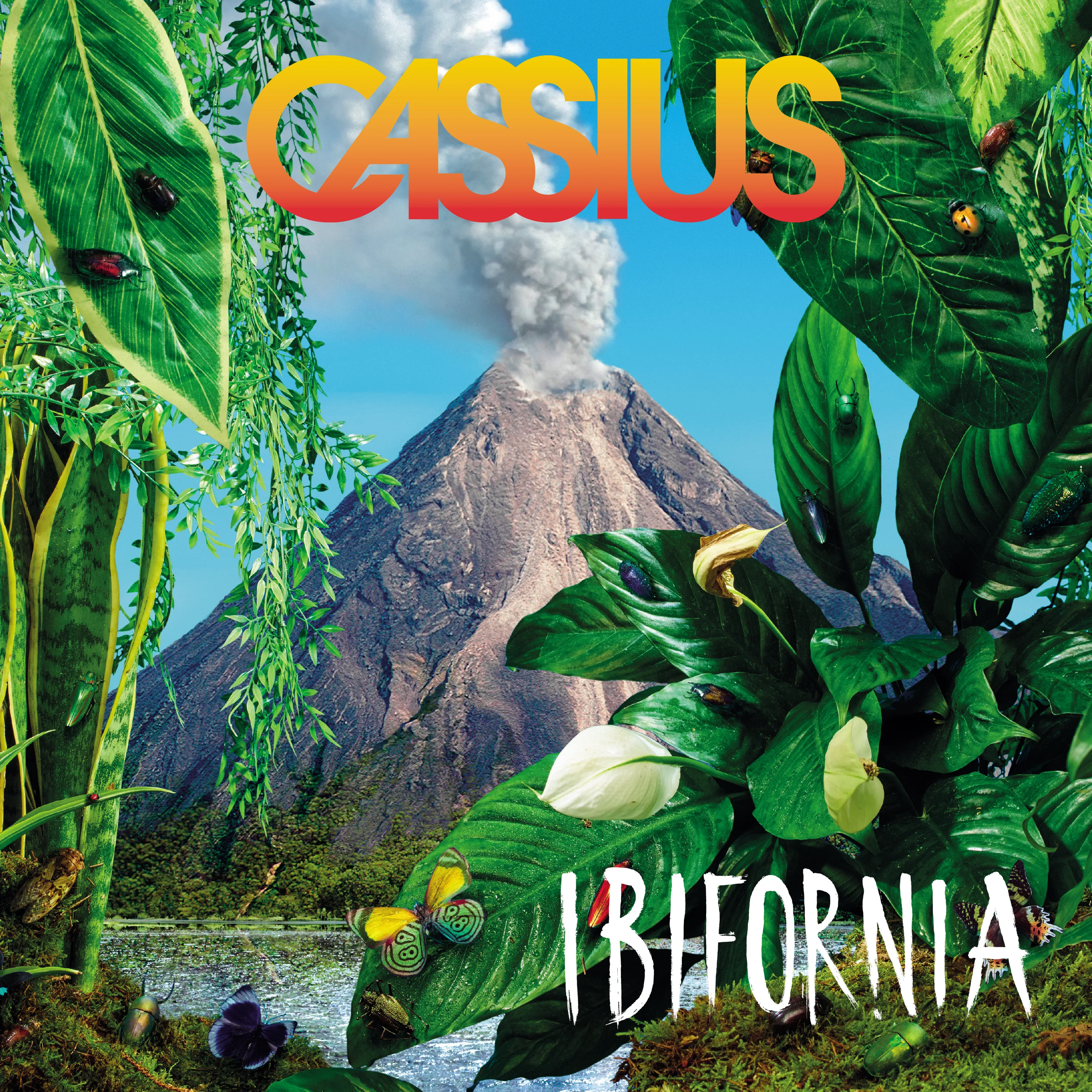 Cover of Cassius – Ibifornia