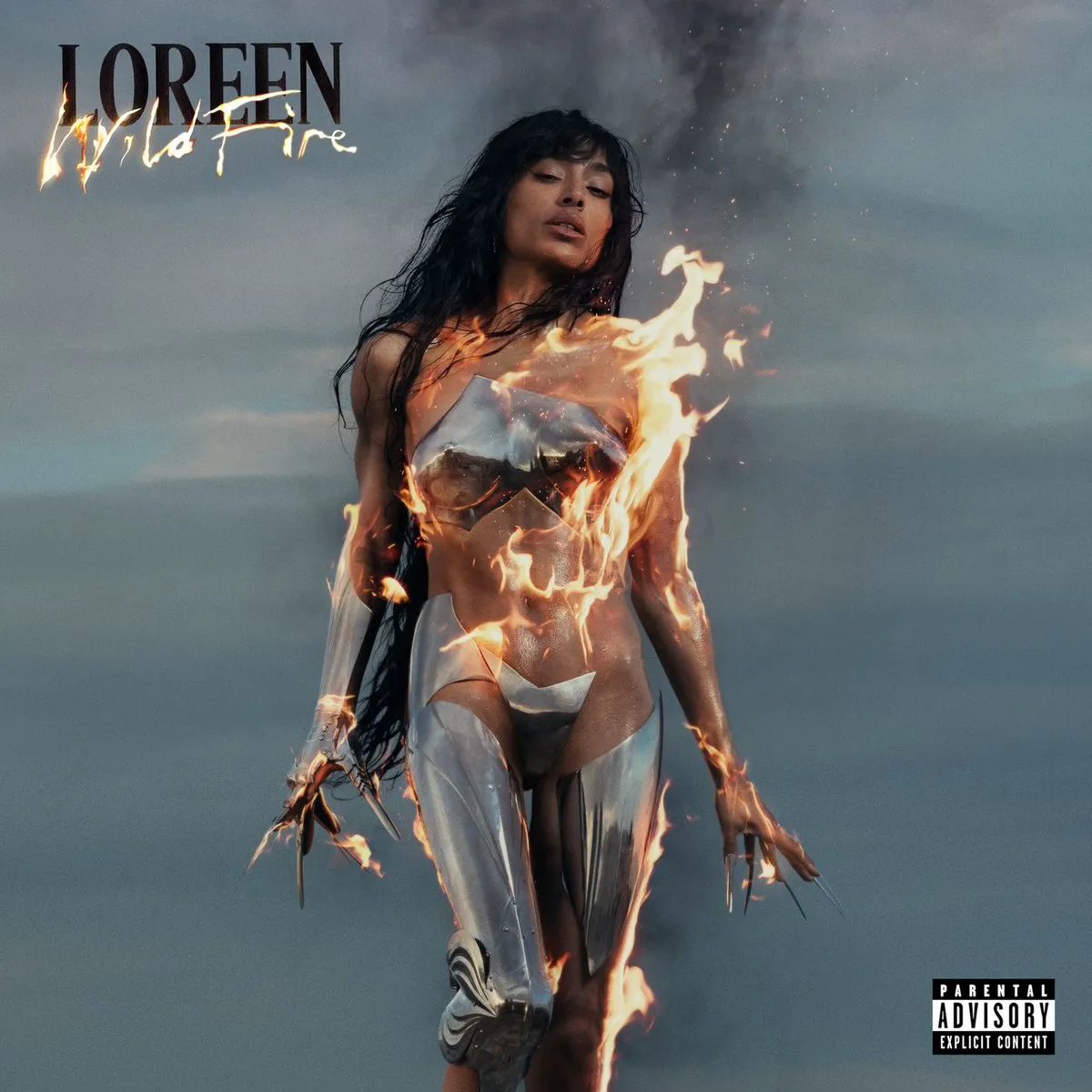 Cover of Wildfire
