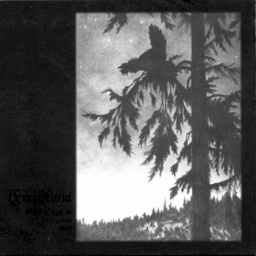 Cover of Empyrium – Where at Night the Wood Grouse Plays