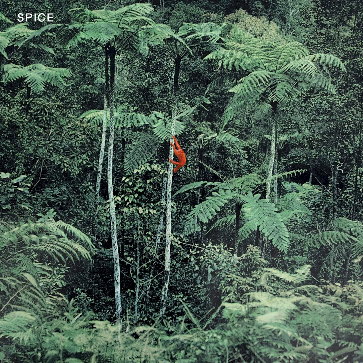 Cover of SPICE – SPICE