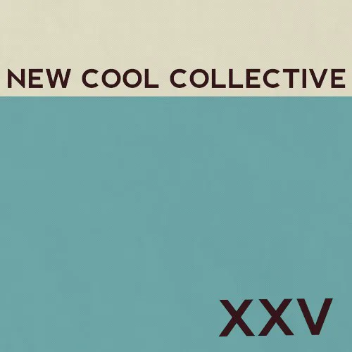 Obal alba New Cool Collective – XXV