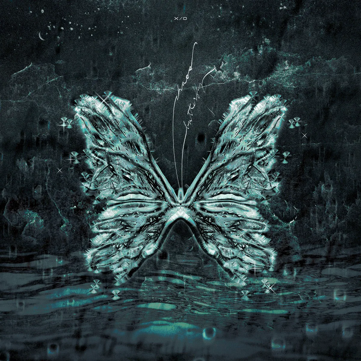 Cover of x/o – Chaos Butterfly