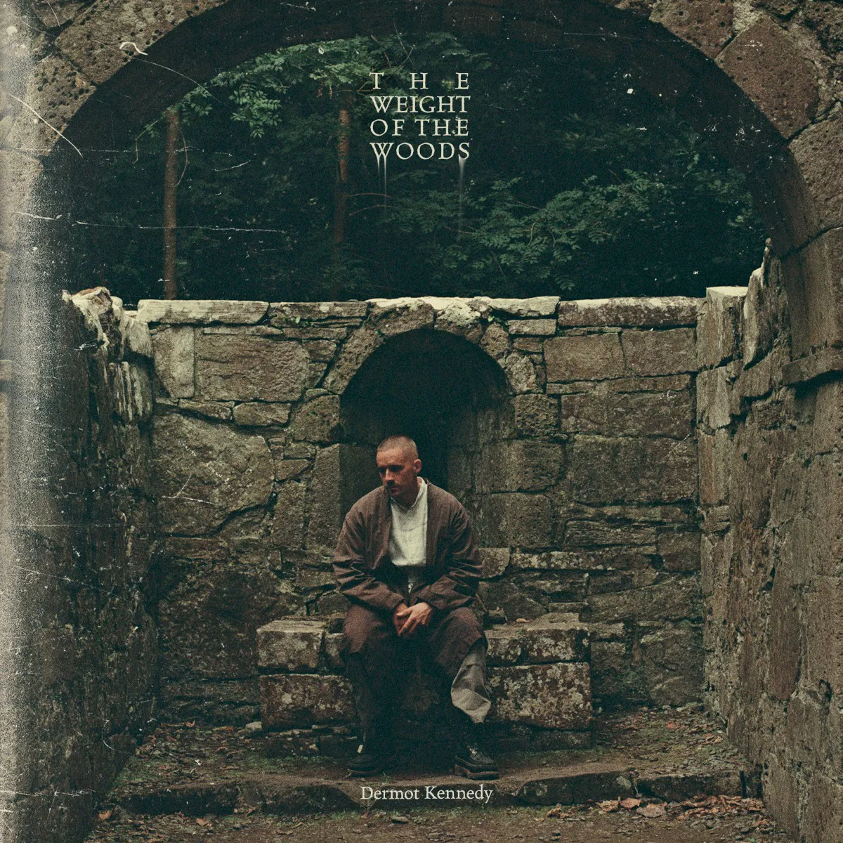 Cover of The Weight of the Woods