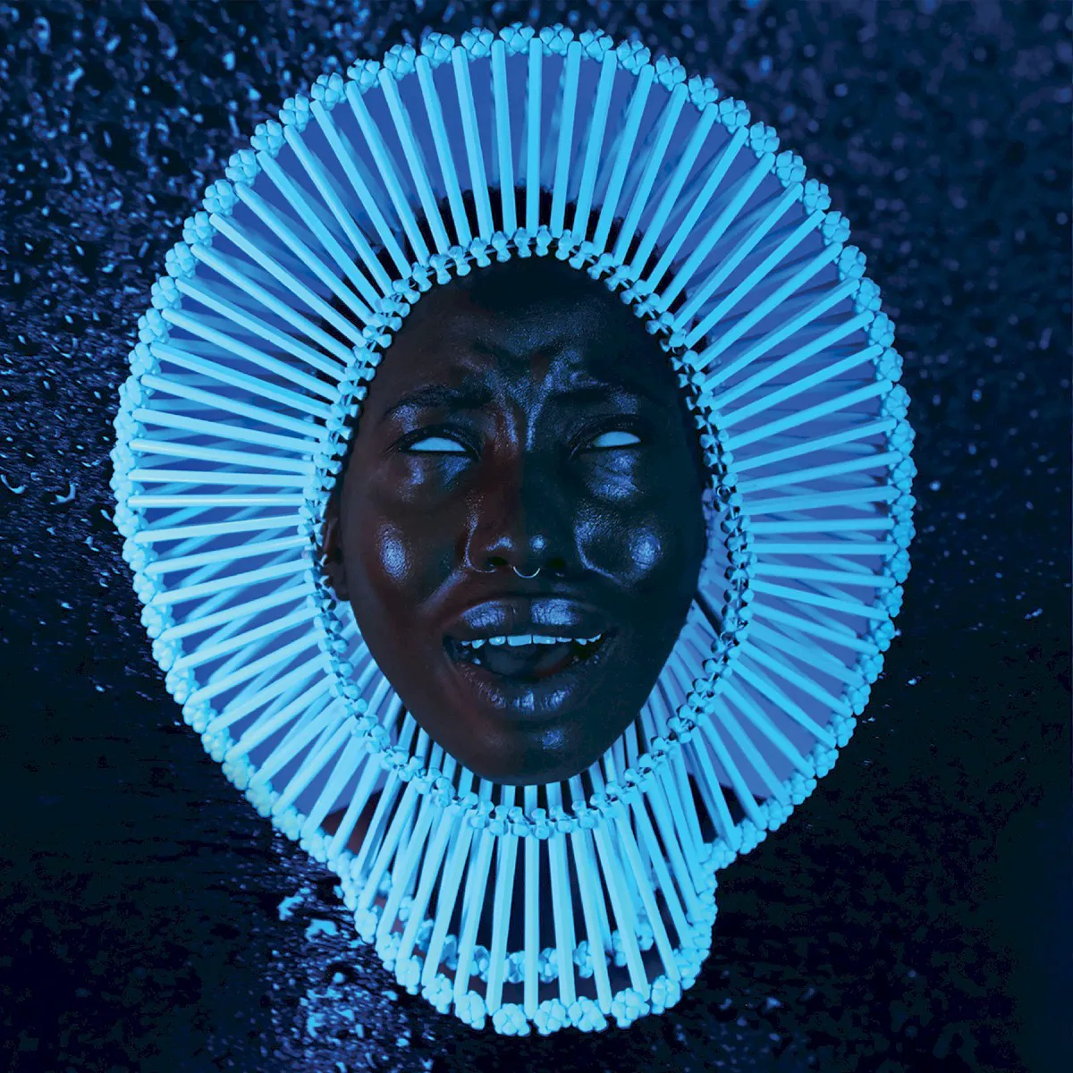 Cover of “Awaken, My Love!”