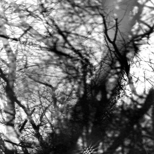 Obal alba Way Their Crept