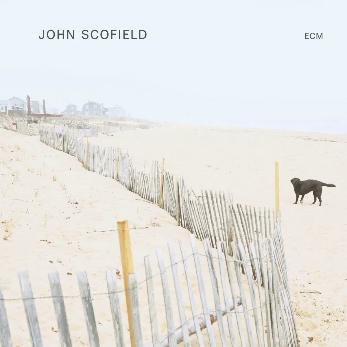 Obal alba John Scofield