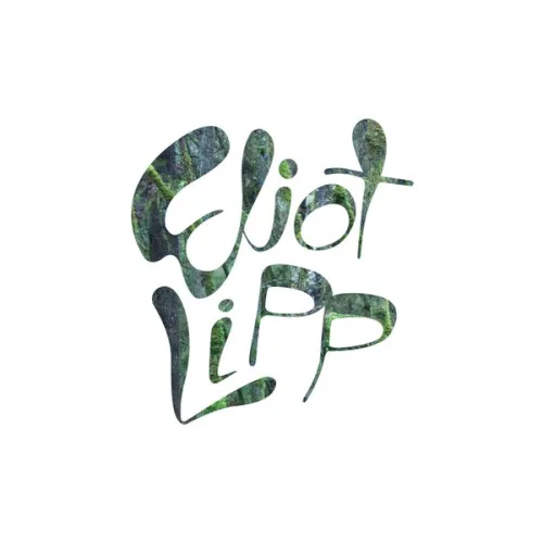 Cover of Eliot Lipp – Come To Life