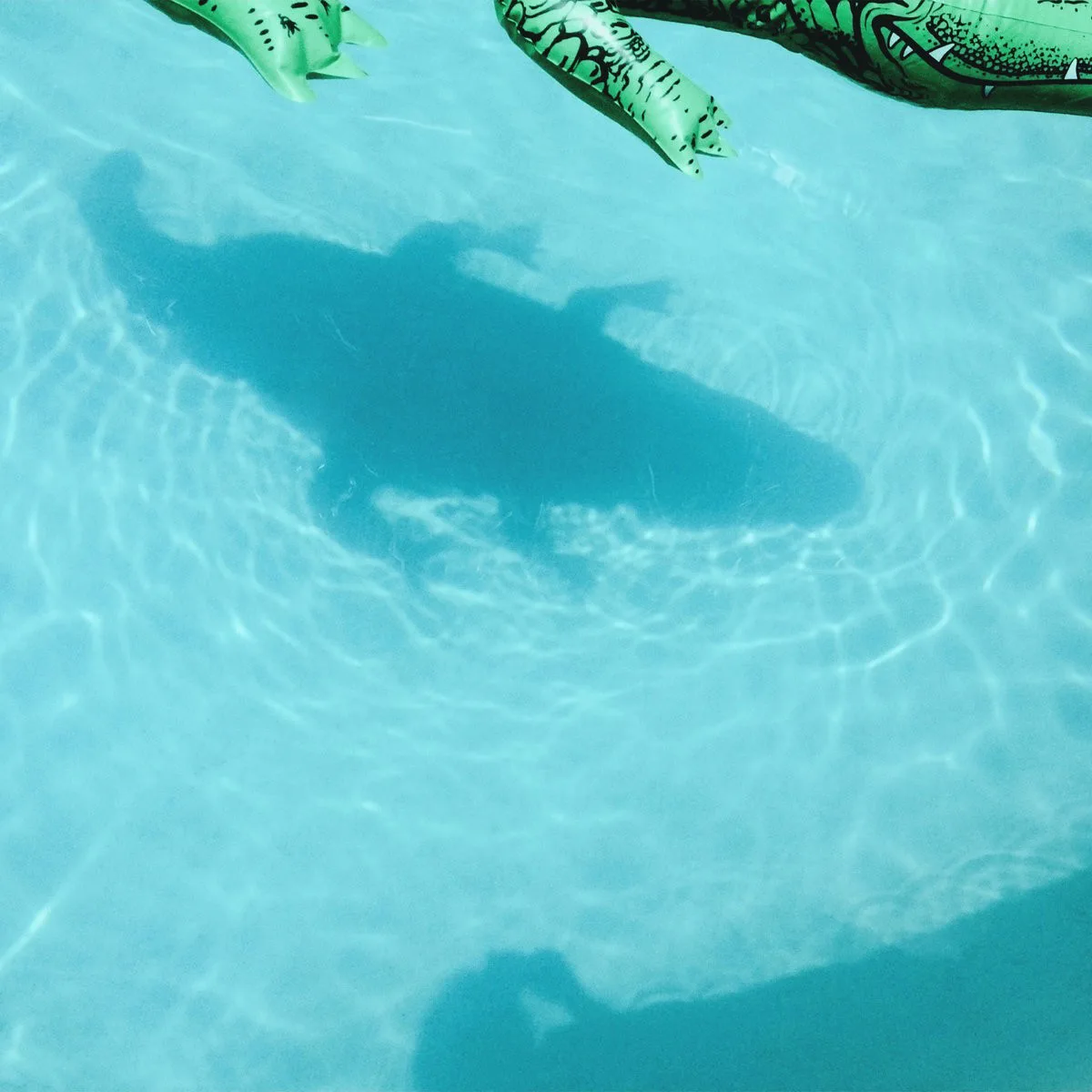 Cover of Shopping – The Official Body