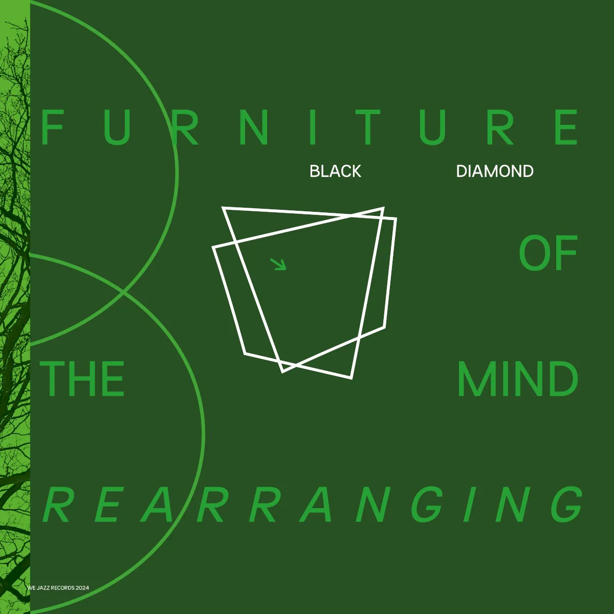 Cover of Black Diamond – Furniture of the Mind Rearranging