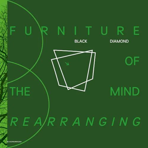Cover of Black Diamond – Furniture of the Mind Rearranging