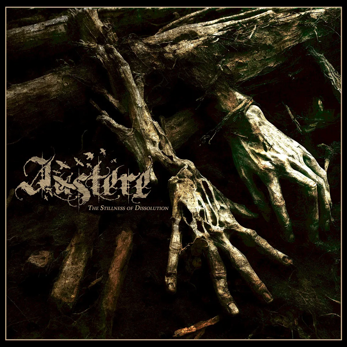 Obal alba The Stillness of Dissolution