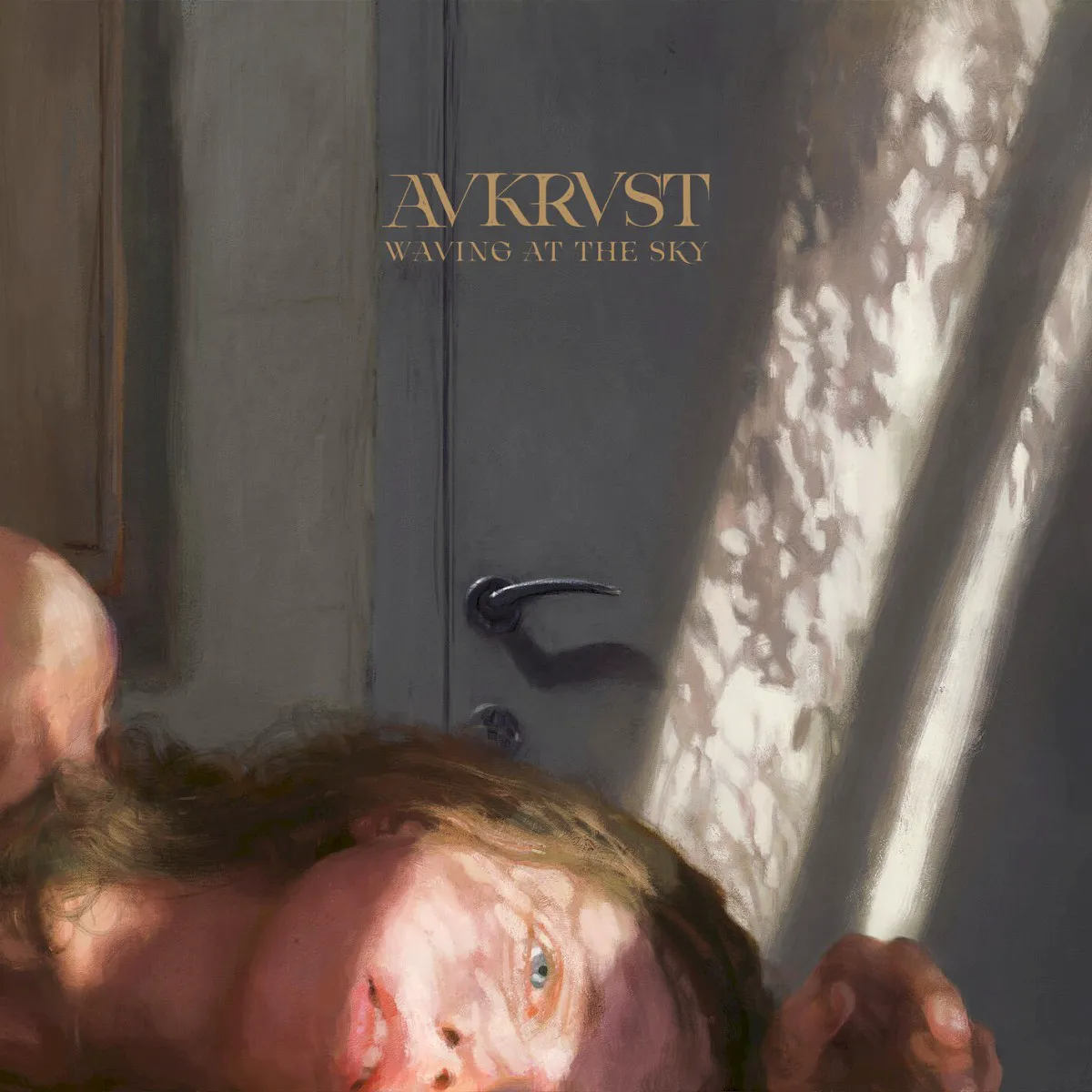 Cover of Waving at the Sky