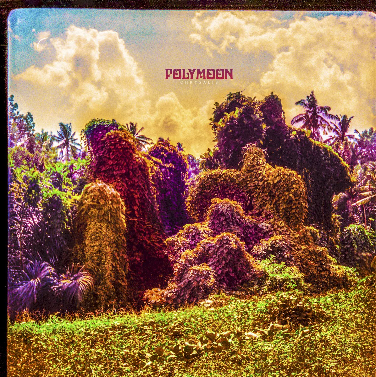 Cover of Polymoon – Chrysalis