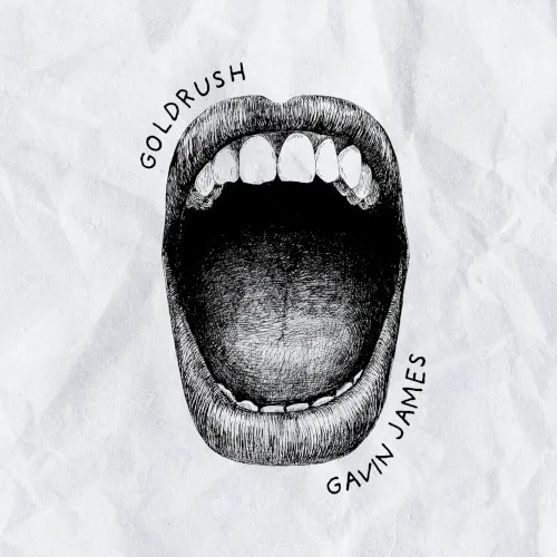 Cover of Gavin James – Goldrush