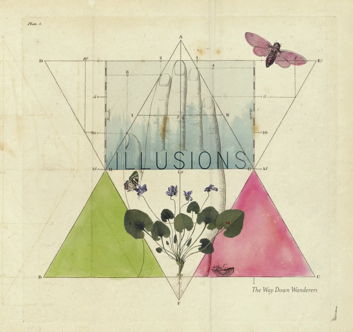 Cover of The Way Down Wanderers – Illusions