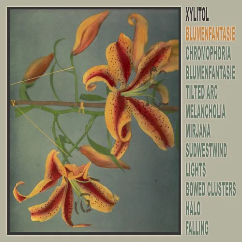 Cover of Xylitol – Blumenfantasie