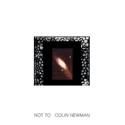 Cover of Colin Newman – Not To