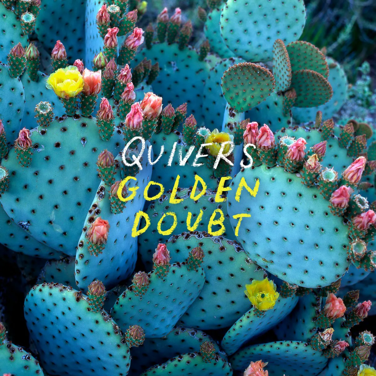 Cover of Quivers – Golden Doubt