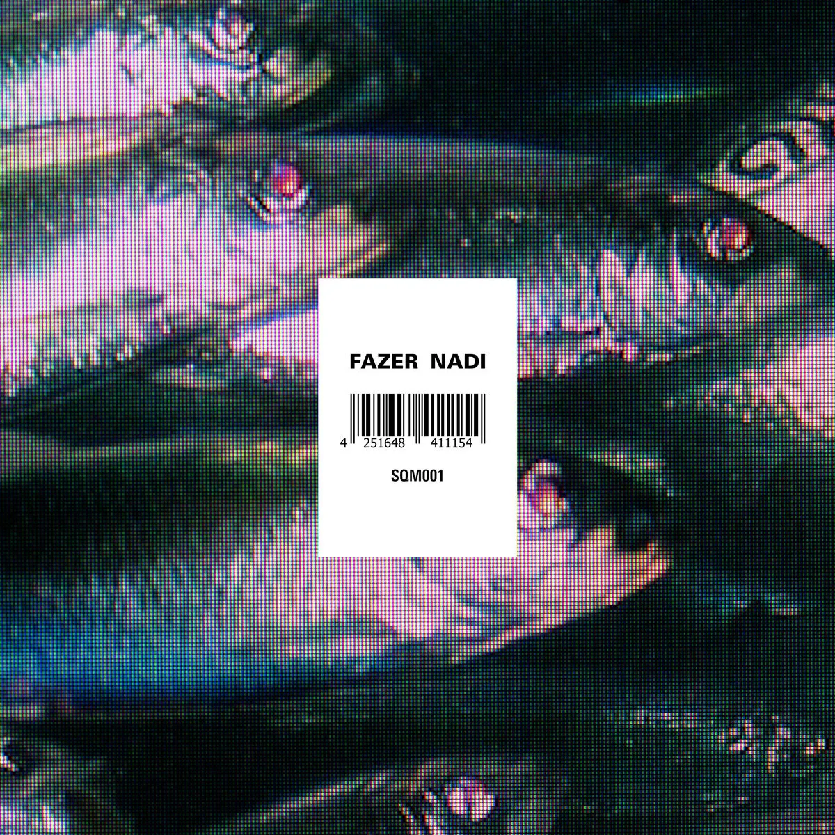 Obal albumu Fazer – Nadi