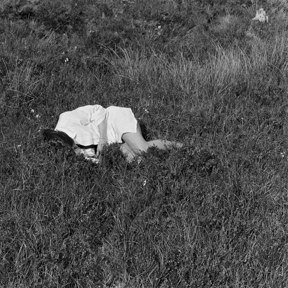 Obal alba Wild Love