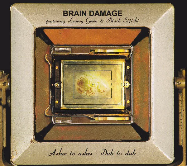 Cover of Brain Damage – Ashes to Ashes - Dub to Dub