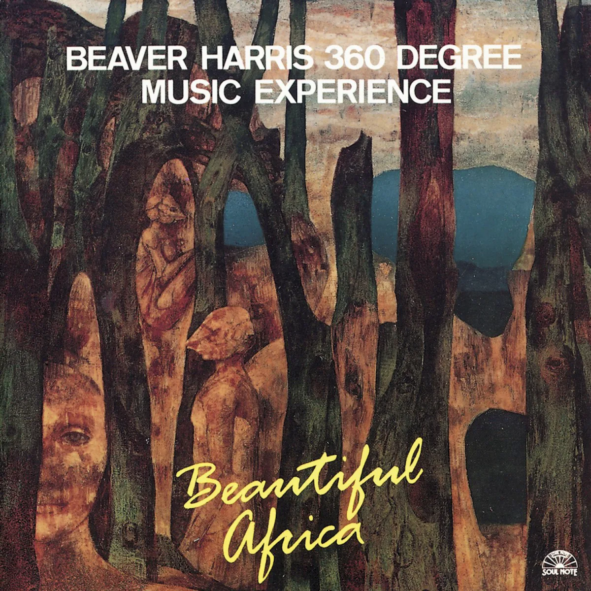 Obal alba The 360 Degree Music Experience – Beautiful Africa