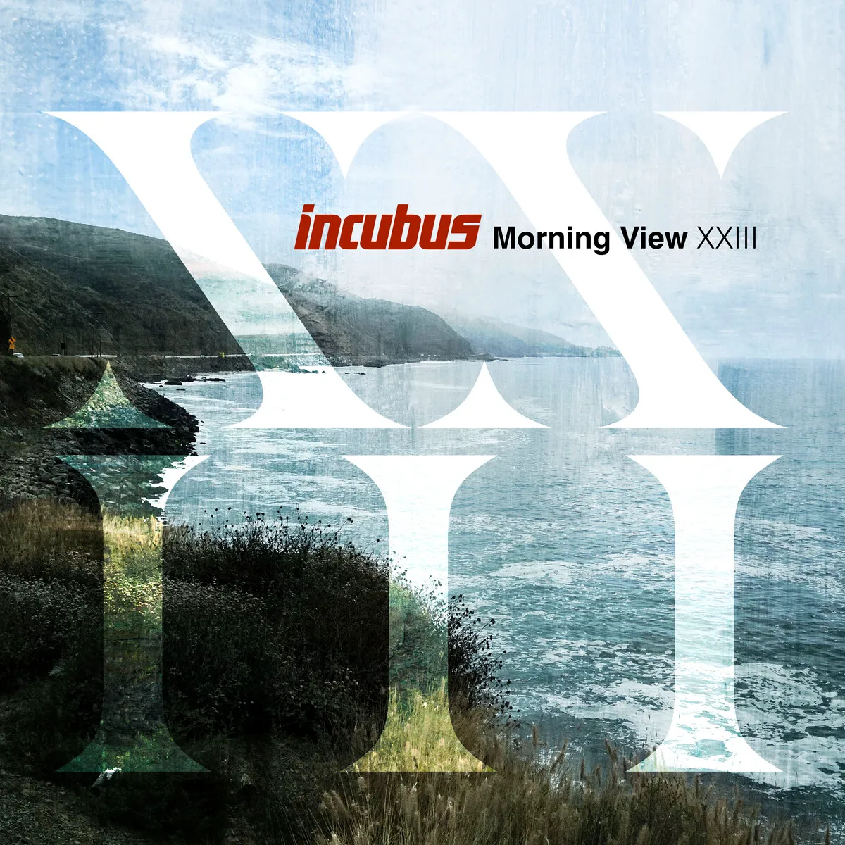 Cover of Morning View XXIII