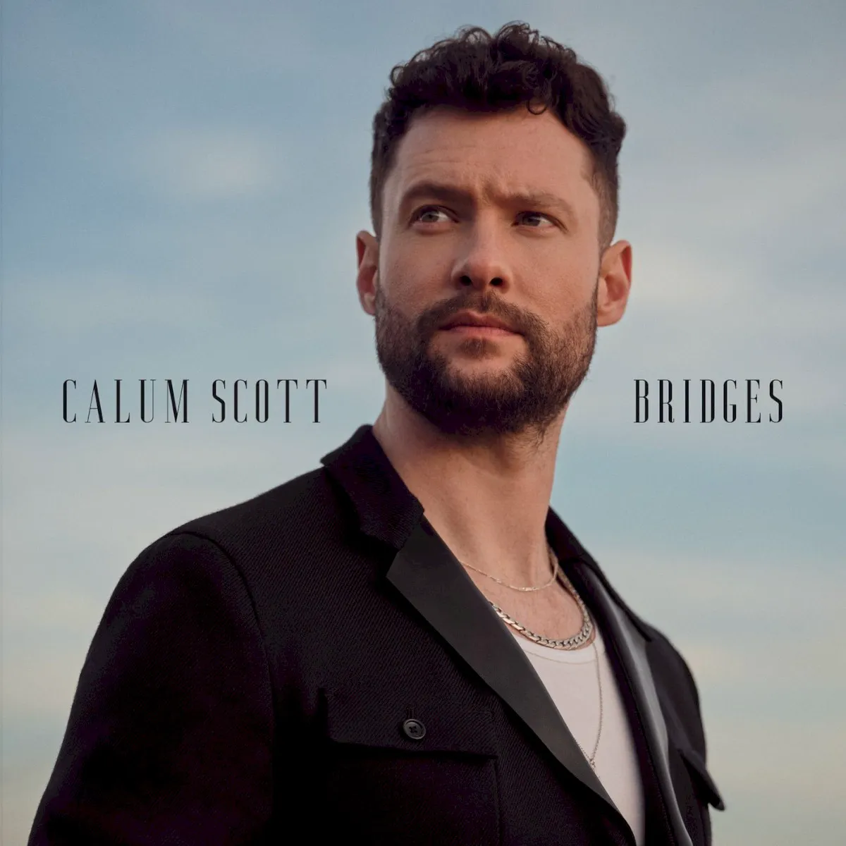Obal albumu Bridges