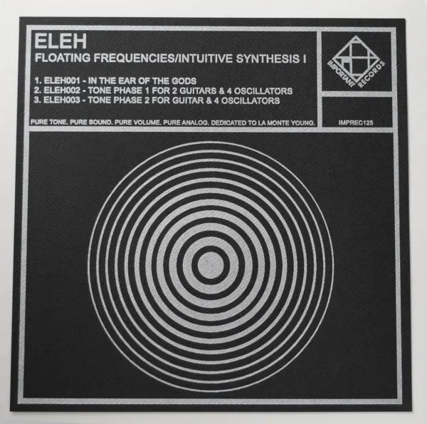 Obal alba Floating Frequencies / Intuitive Synthesis I