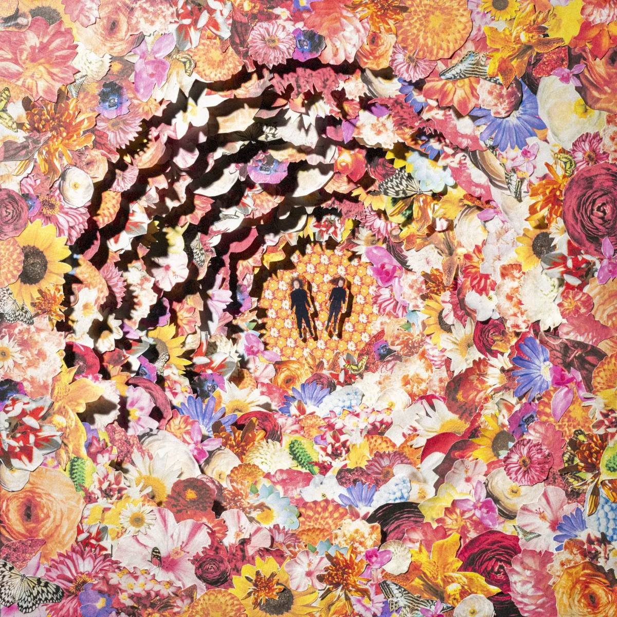 Cover of Bimbo – The Bimbonacci Sequence