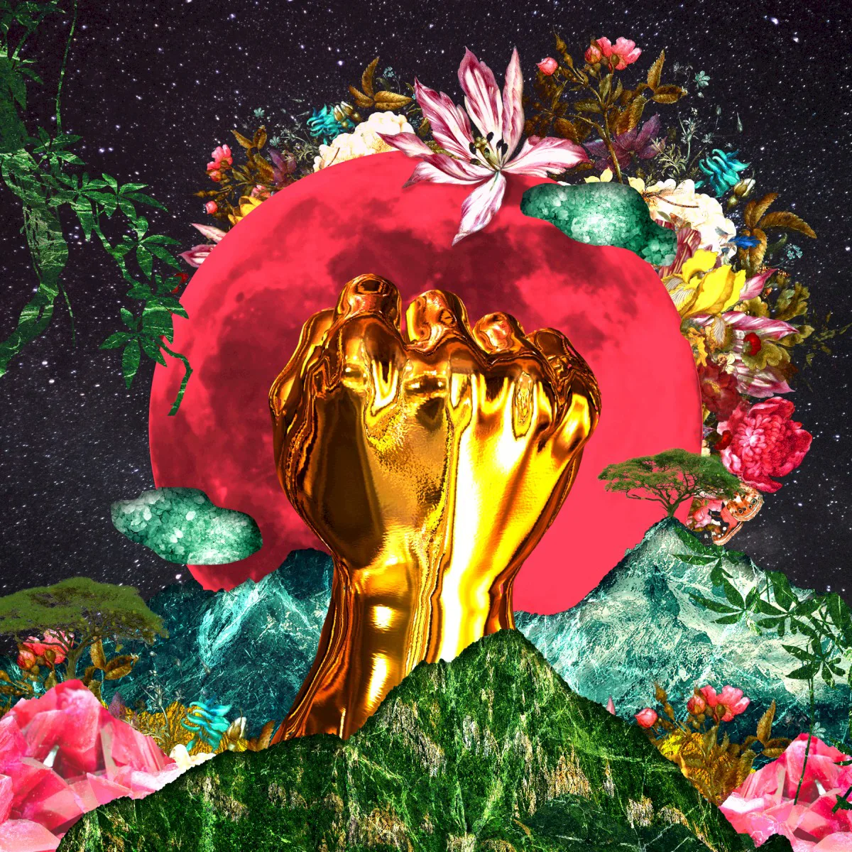 Obal alba Rina Mushonga – In a Galaxy