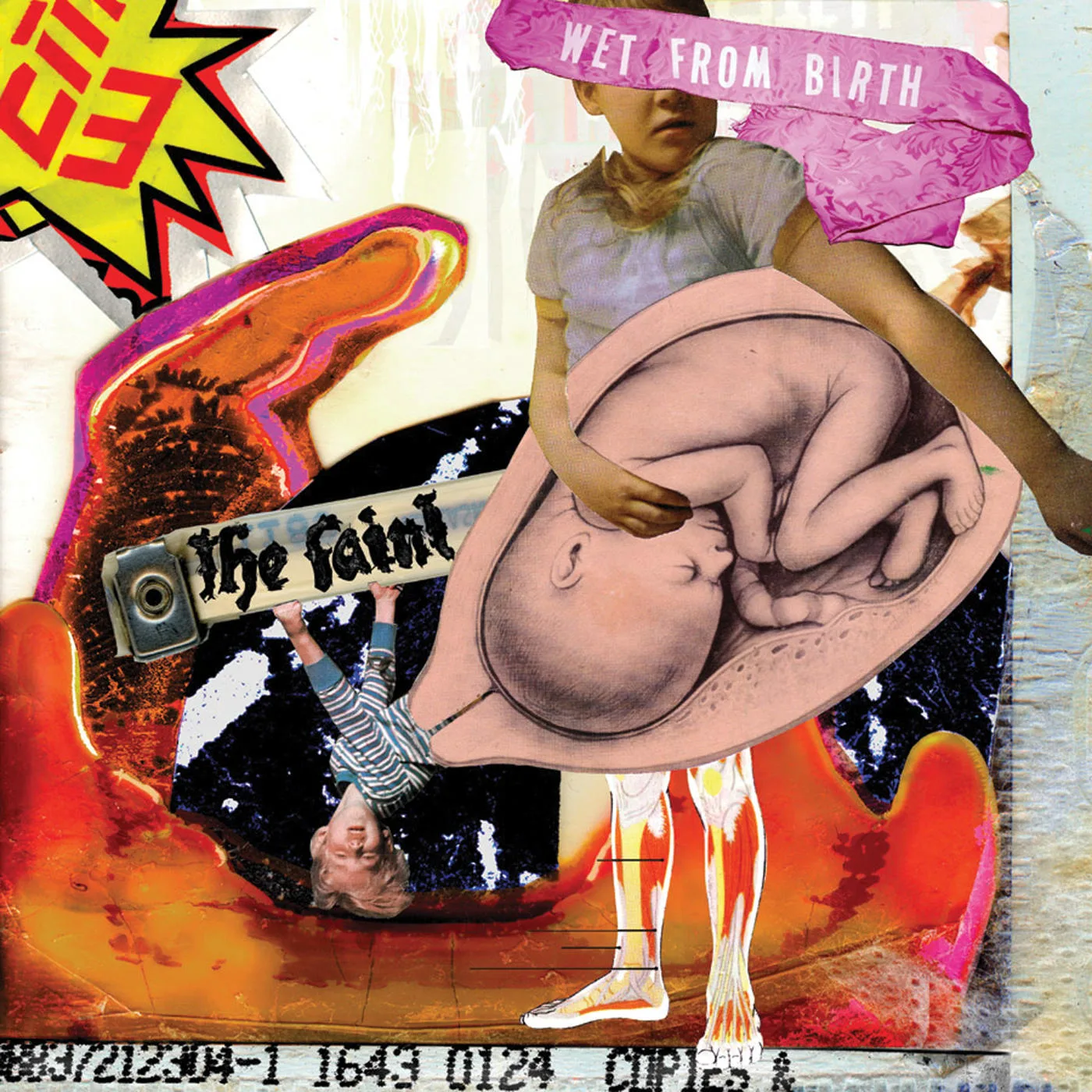 Cover of The Faint – Wet From Birth