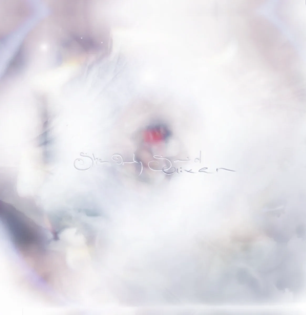 Cover of Glixen – She Only Said