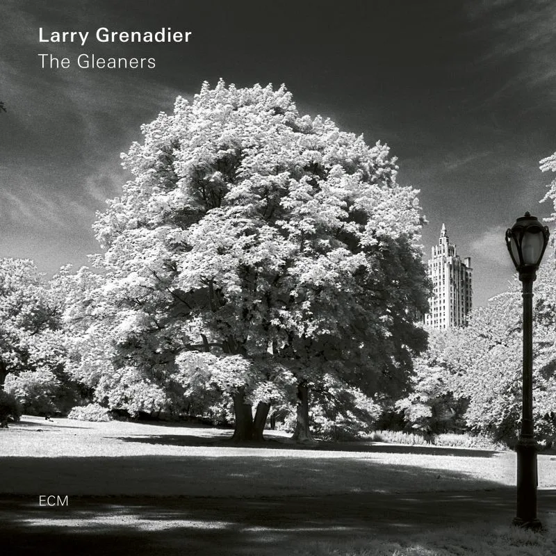 Cover of Larry Grenadier – The Gleaners