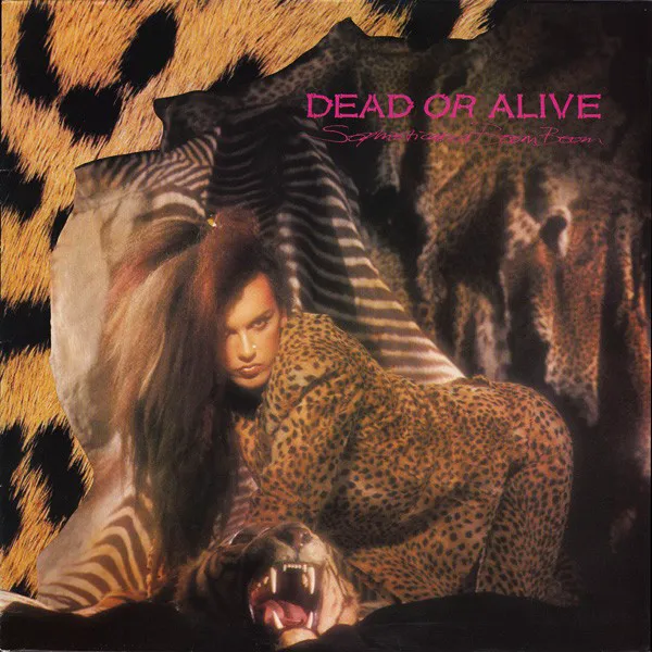 Cover of Dead or Alive – Sophisticated Boom Boom