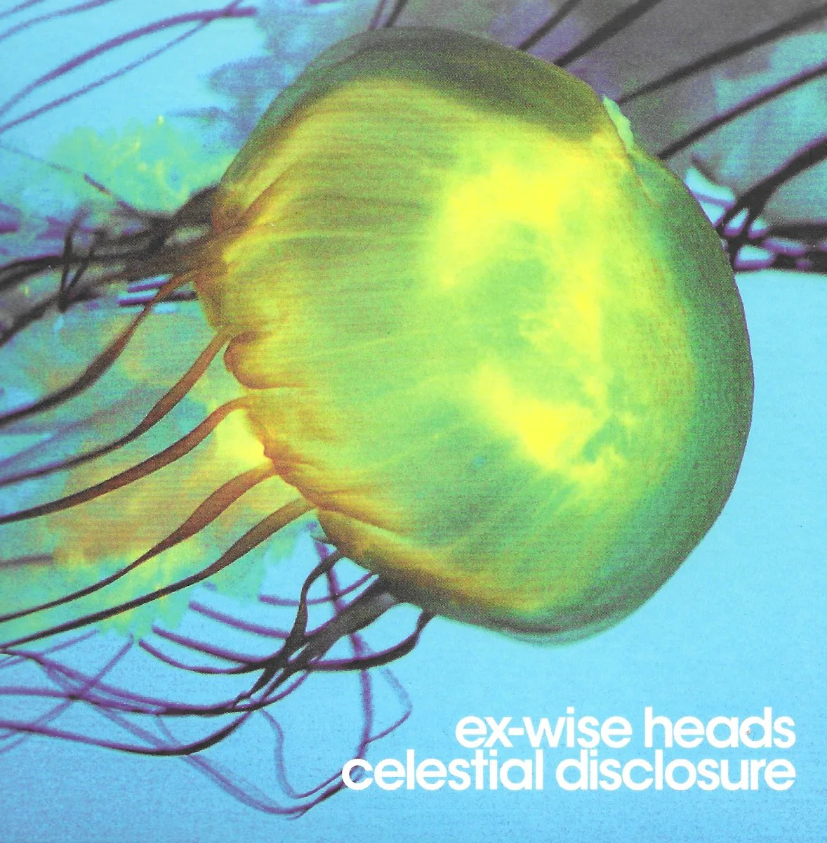 Obal alba Ex-Wise Heads – Celestial Disclosure