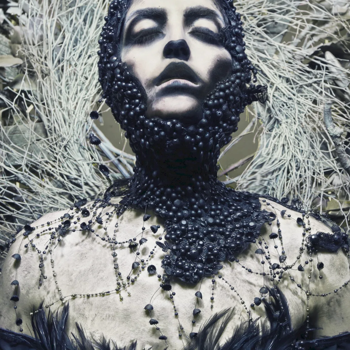 Cover of Converge – Jane Live
