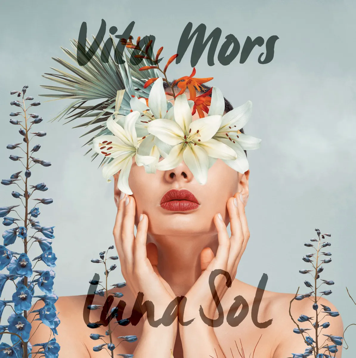 Obal albumu Vita Mors
