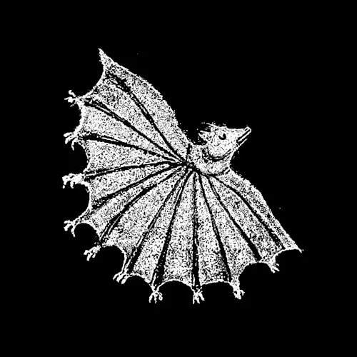 Cover of Xiu Xiu – Ignore Grief