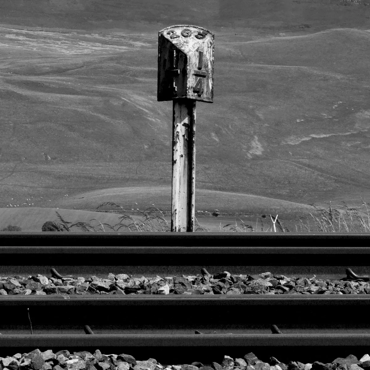 Obal alba Sidings