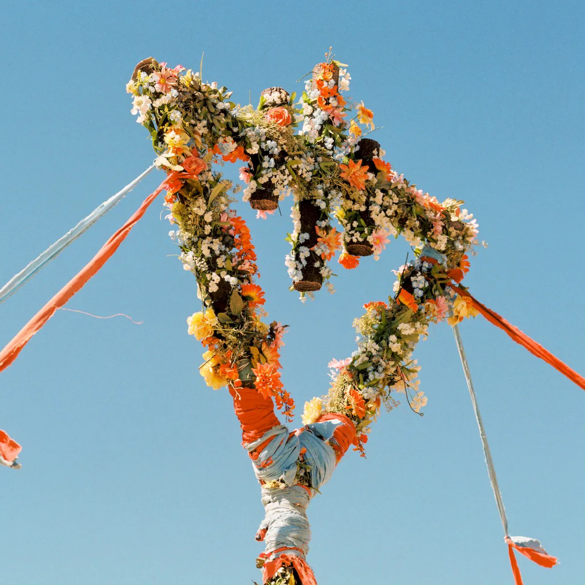 Obal alba Flowers