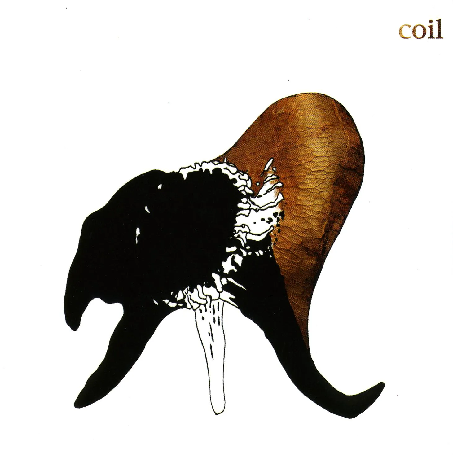 Obal alba Black Antlers